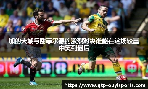 加的夫城与谢菲尔德的激烈对决谁能在这场较量中笑到最后